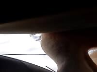 In my ass dog's cock
