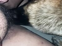 Big dog eating my pussy