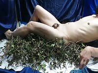 feeling stimulating nipples and penis with willow leaves.