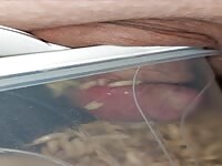 Pain cbt insertion bdsm hungrige maggots extrem