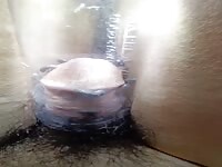 A pill bug wandering on top of the penis