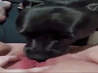 He really know how to use his tongue 