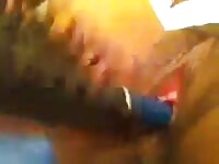 Ebony babe solo with hairbrush