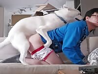 Doggy humps my special bumhole