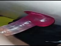 Alone and horny 