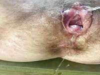 Grannys asshole