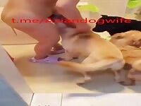 Chinese wife got trouble in the bathroom 1
