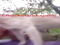 Chinese whore wife fuck dog outside