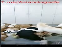 Chinese dog whore have a big party 2