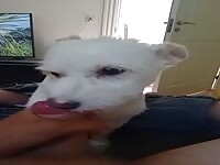 My girl doggy 
