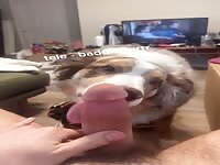 Living room lick