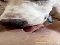 Pussy Licking