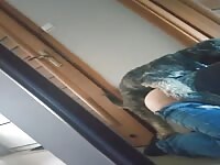 K9sex