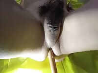 Playing with a toy stick