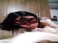 [ZOO♡DOG] Knot-Balls-Sucking