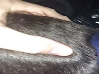 Sucking off a stranger in a hotel parking lot. 