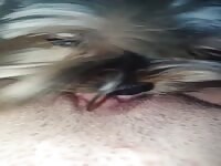 dog eating teen pussy