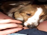 My friend&rsquo;s dog lick me