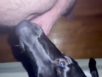 My friend got licked
