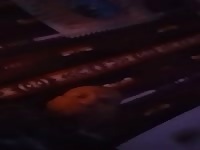 Big doinc 