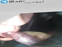 Blowjob for dog