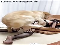 Chinese lady first time try dog
