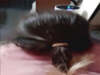 "I'm Cumming" Wife getting it From Behind